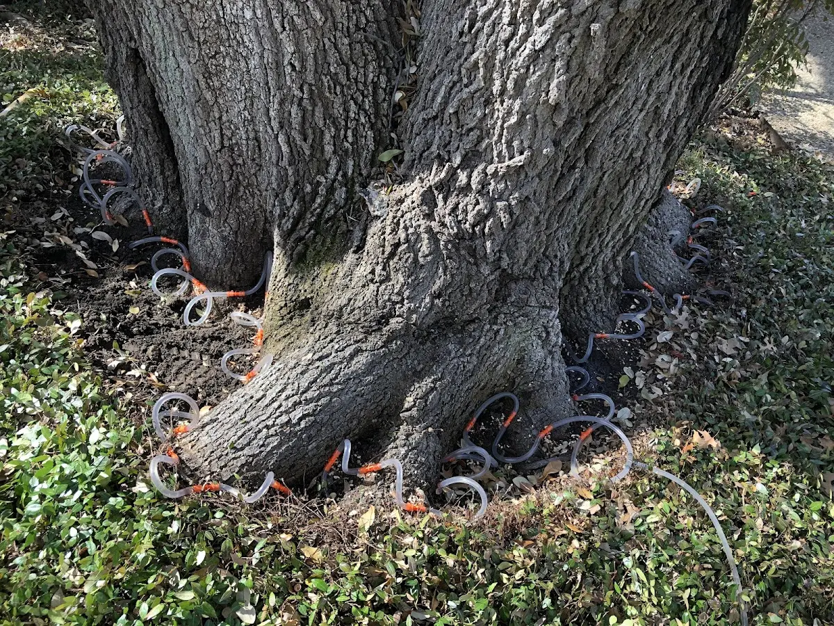Detailed Shrub and Hedge Trimming job site in Luther